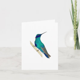 Violetear Hummingbird Greeting Card Kort