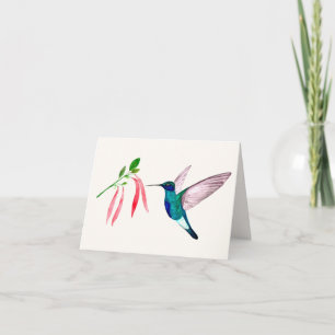 Violetear Hummingbird Greeting Card Kort