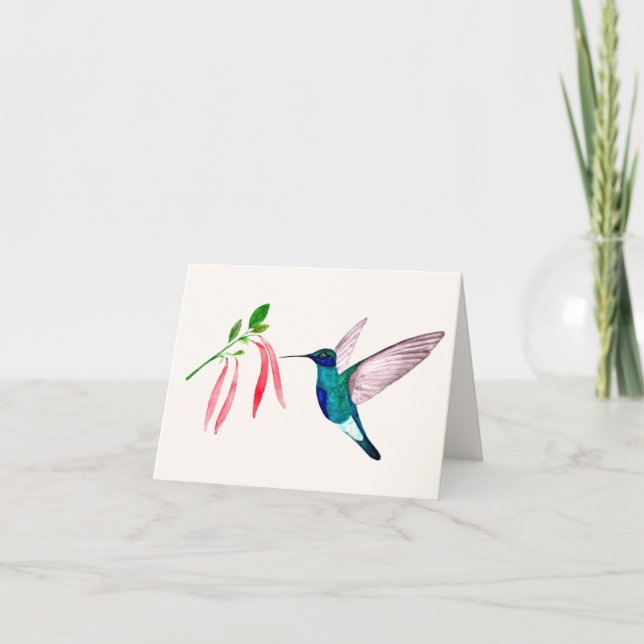 Violetear Hummingbird Greeting Card Kort (Framsida)