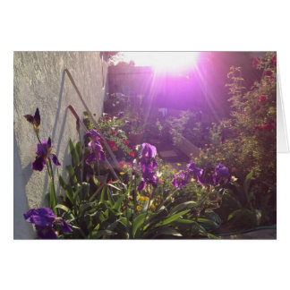 Violeten avfyrar vid harmoni hälsningskort