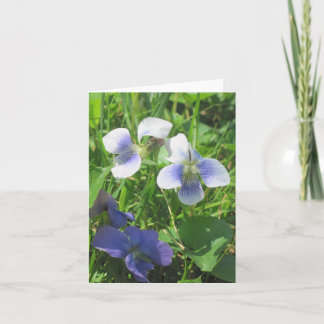 Violets noterar kortet kort