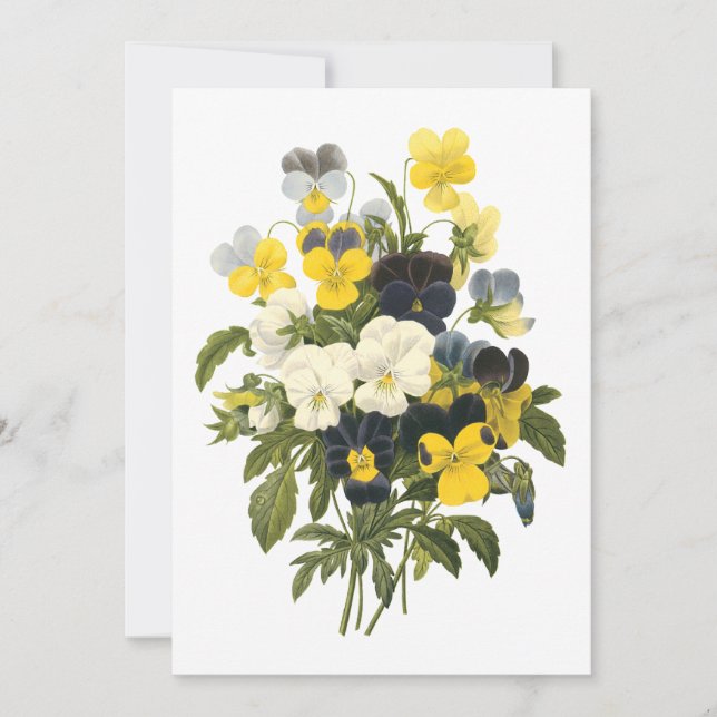 Violets och Pansy Flowers Botanical Art (Framsida)