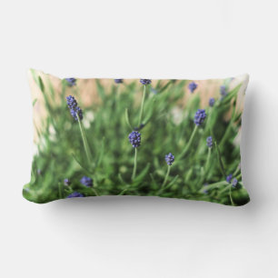 Violets Pillow Lumbarkudde