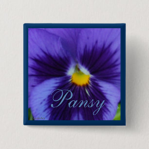 Violett blåttPansy Knapp