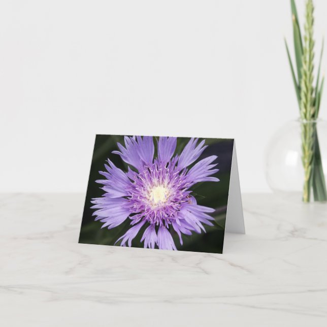 Violett blomma Notecard Kort (Framsida)
