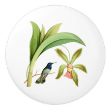 Violett hövdad Hummingbirdvintageillustration
