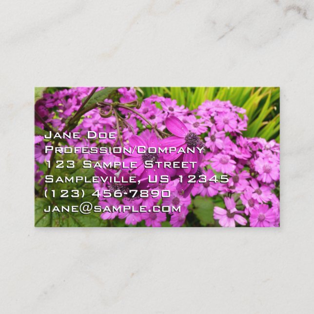 Violetta blommor från San Francisco Visitkort (Framsida)