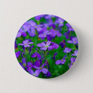 Violetta blommor knäppas knapp