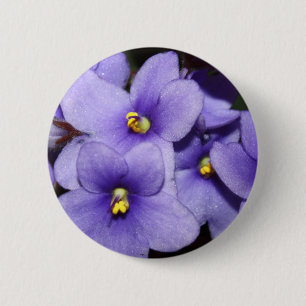 Violetta Boquet Knapp