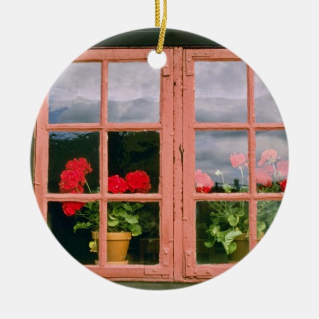 Violetta pelargoner i fönstret av ett julgransprydnad keramik (Framsidan)