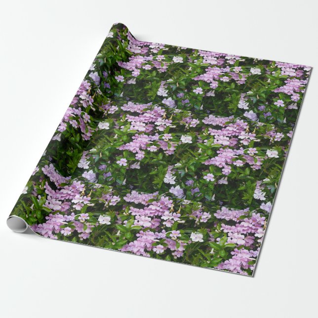 Violetta trumpeter presentpapper (Utrullad)
