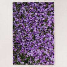 Violetta viskningar i blom – 1014-delars lila flox