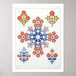 Violiet-, iris- och tulipmotif tapet-design, rR Poster