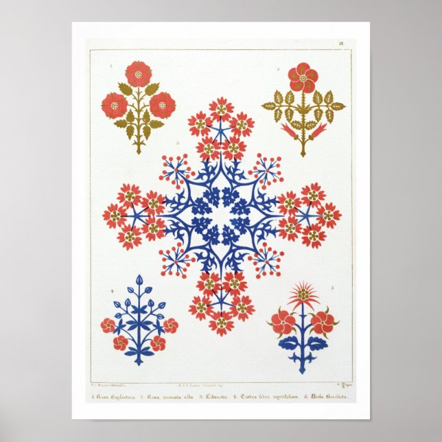 Violiet-, iris- och tulipmotif tapet-design, rR Poster (Framsidan)