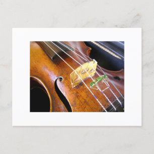 Violin Closeup Vykort