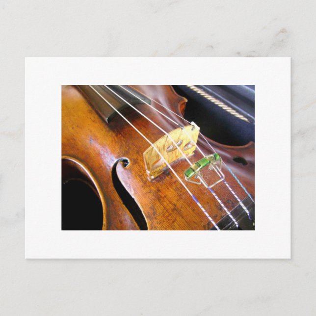 Violin Closeup Vykort (Framsida)