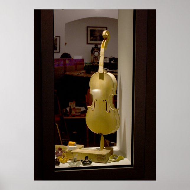 Violin In Shopping Window Poster (Framsidan)