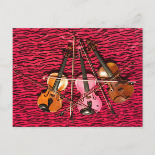 Violin Photo gifts Vykort