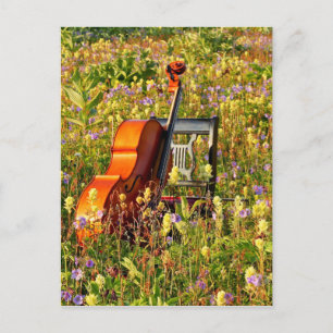 Violoncell med stolen i ett fält av vildblommar vykort