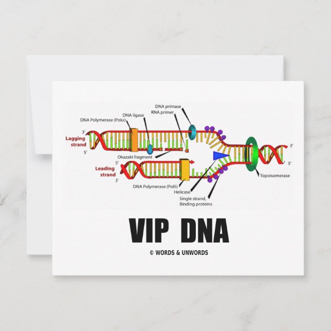 VIP-DNA (DNA Replication Humor) (Framsida)