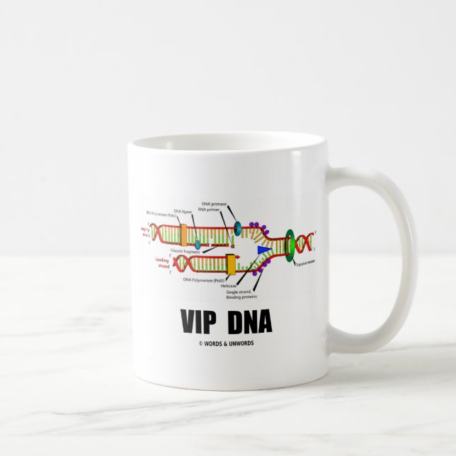 Vip-DNA (DNA-Replicationhumor) Kaffemugg (Höger)