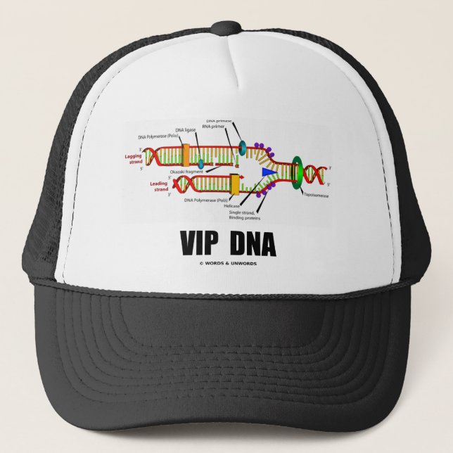 Vip-DNA (DNA-Replicationhumor) Keps (Framsida)