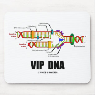 Vip-DNA (DNA-Replicationhumor) Musmatta