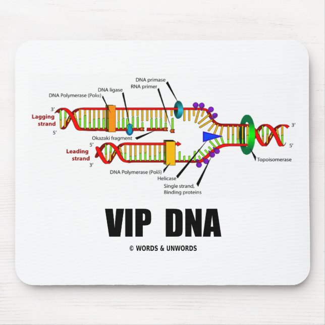 Vip-DNA (DNA-Replicationhumor) Musmatta (Framsidan)