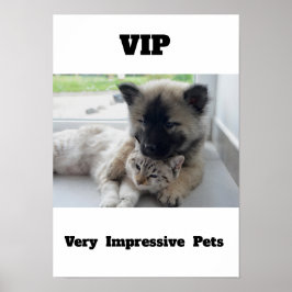 VIP Mycket imponerande Pets Cute cat-hund Poster