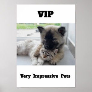 VIP Mycket imponerande Pets Cute cat-hund Poster