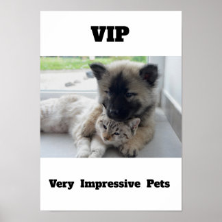 VIP Mycket imponerande Pets Cute cat-hund Poster