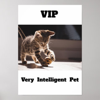 VIP - mycket intelligent Poster av sällskapsdjur