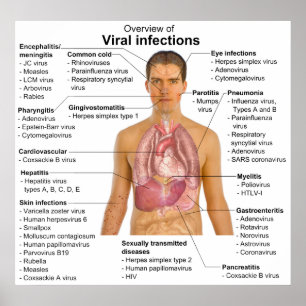 Virala infektioner och berörda arter poster