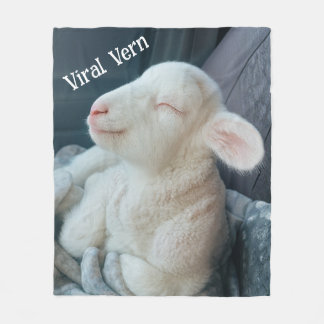 Virala lammets söta personlighet fleecefilt