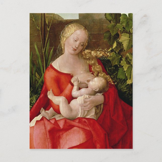 Virgin and Child 'Madonna with the Iris', 1508 Vykort (Framsida)