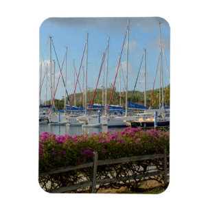 Virgin Gorda Yacht Harbor Magnet