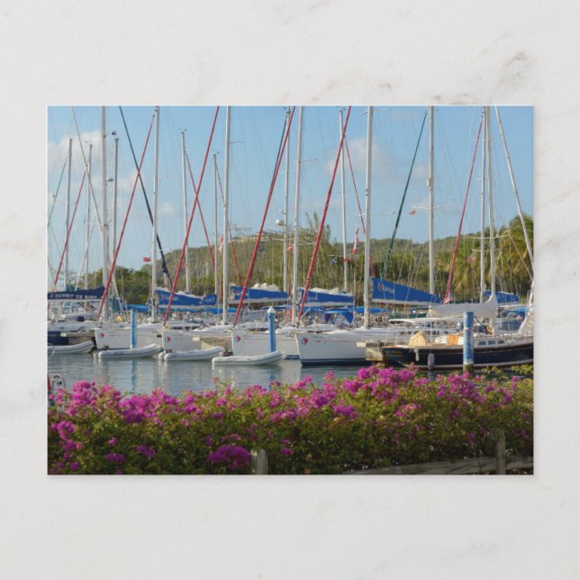 Virgin Gorda Yacht Harbor Vykort (Framsida)