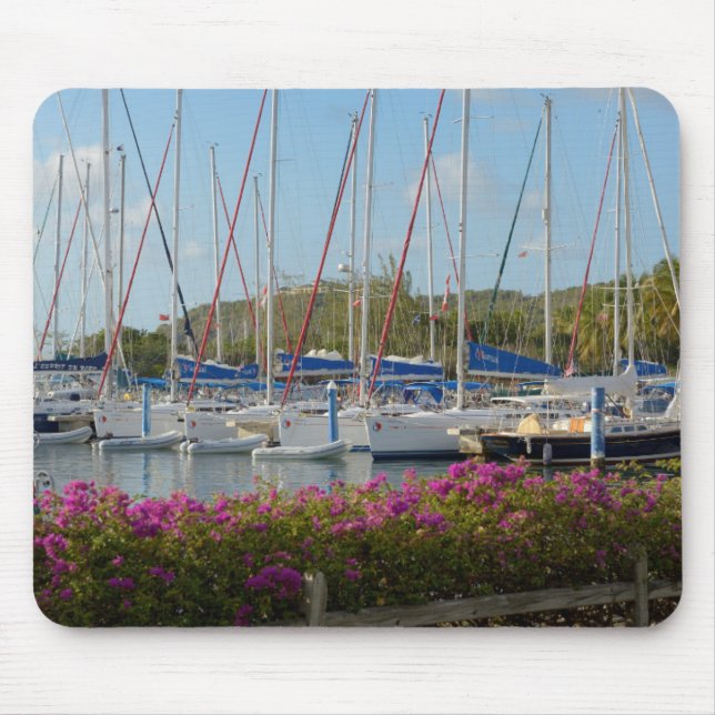 Virgin Gorda Yacht Harbour Musmatta (Framsidan)
