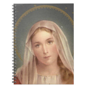 VIRGIN MARY ANTECKNINGSBOK