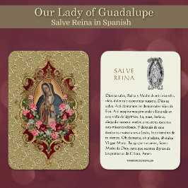 Virgin Mary Salve Reina Spanska Prayer Heliga Card Visitkort