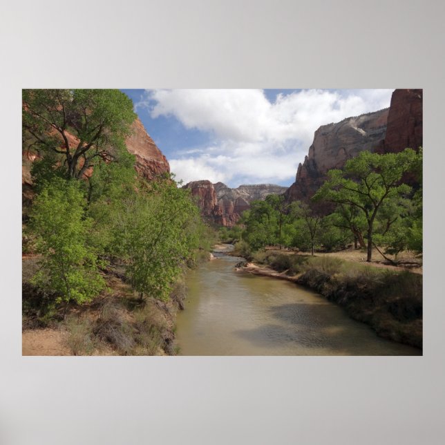 Virgin River i Vår vid Zion nationalpark Poster (Framsidan)
