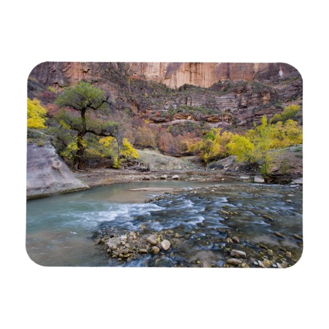 Virgin River på hösten i Zion National Park Magnet (Horisontell)