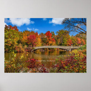 virginia5050 poster
