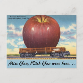 Virginia, Apple, Shenandoah Valley Vykort