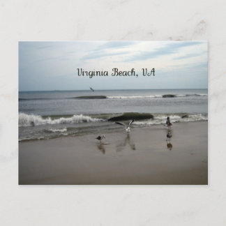 Virginia Beach, VA Vykort