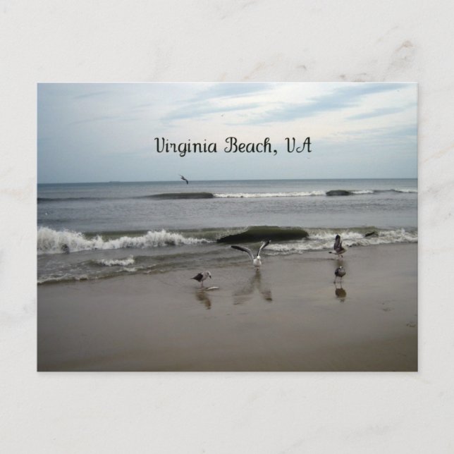 Virginia Beach, VA Vykort (Framsida)