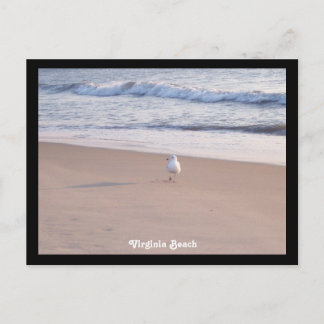 Virginia Beach Vykort