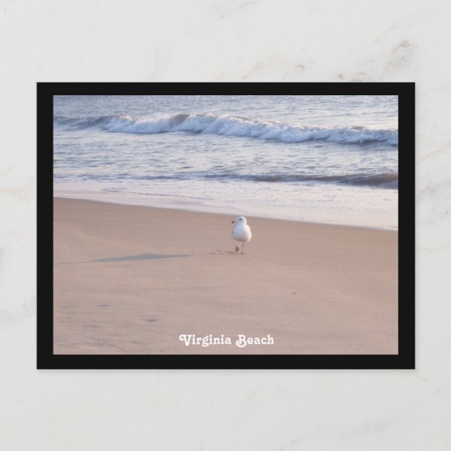 Virginia Beach Vykort (Framsida)
