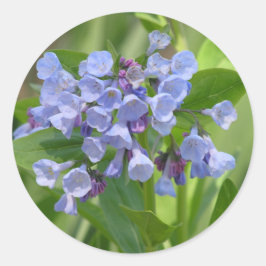 Virginia Bluebell (Mertensia virginica)-dekal Runt Klistermärke