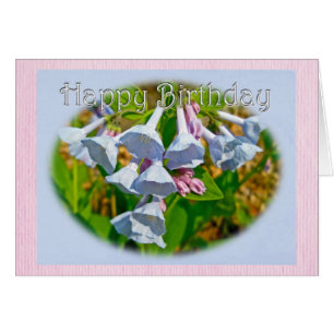Virginia Bluebells Grattis på födelsedagen Coordin Hälsningskort